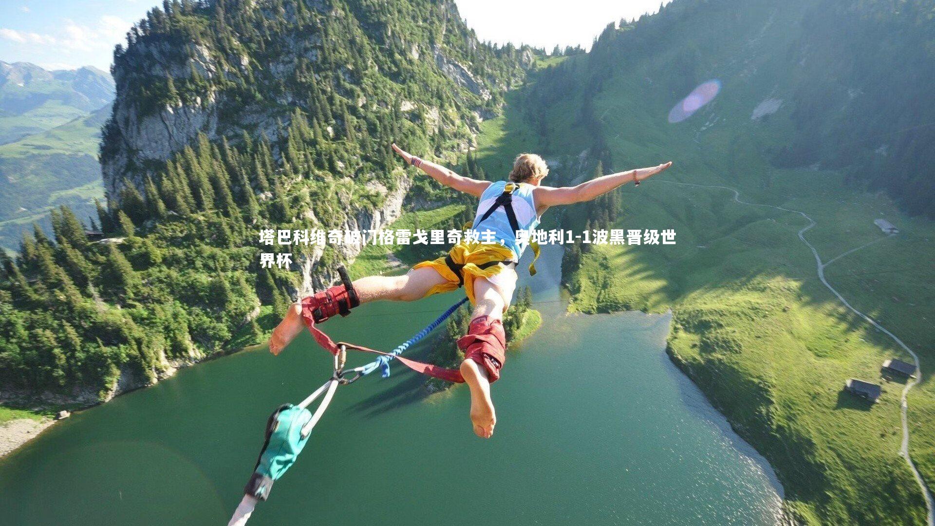 塔巴科维奇破门格雷戈里奇救主，奥地利1-1波黑晋级世界杯